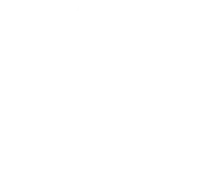 LOGO Multiloc service blanc